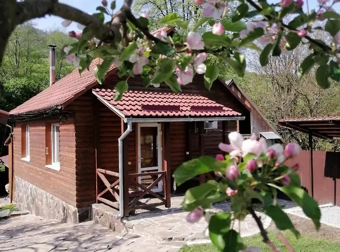 Зачаровані Карпати, Воловець photo