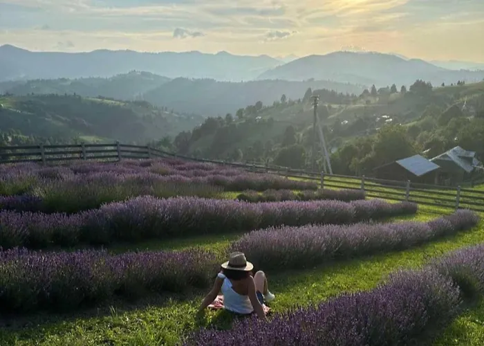 Lavender Valley Perekrestnoye photo