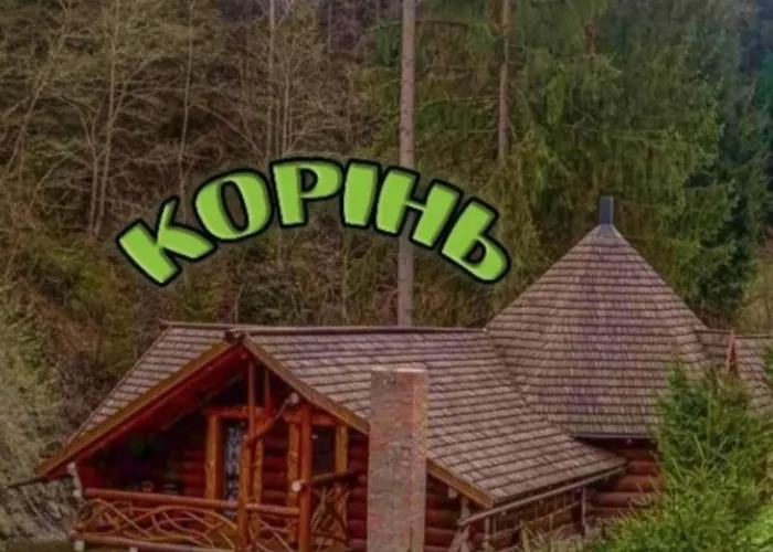 KrasnoillyaКорінь别墅照片