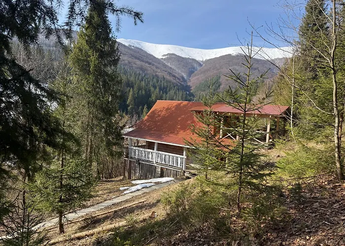 Domik V Gorakh Villa Bukovets fotoğrafı
