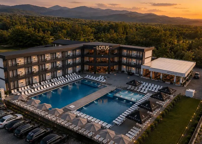 Lotus Hotel Solotvino 사진