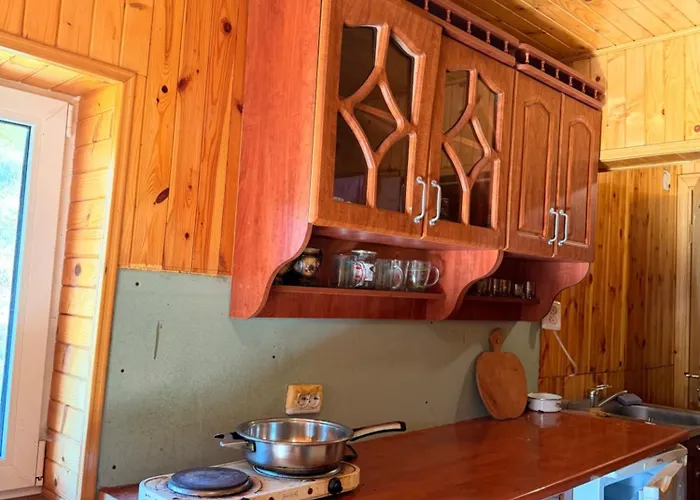 Фото Вілла Поза Зоною , Carpathian Mountain House Ivashkivtsi